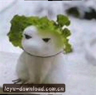 刘洋